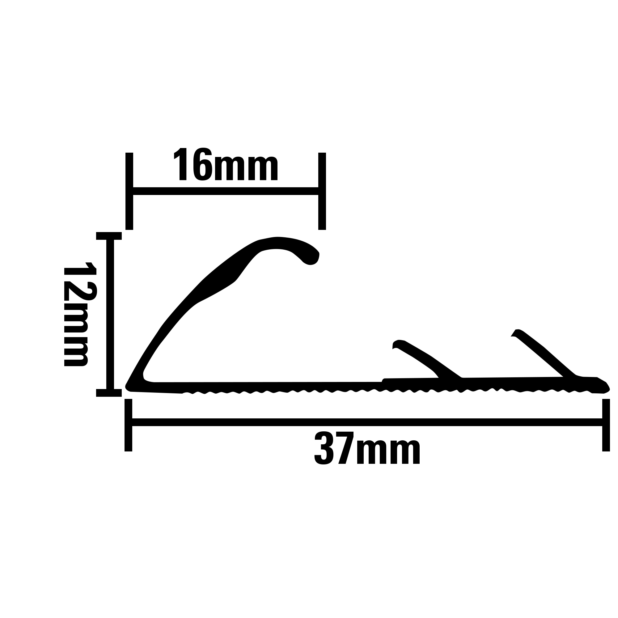 Nap Lock: Carpet Edge Polished - Image 4